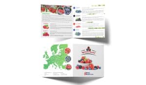 Broszura Składana Agronom Berries