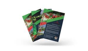 Ulotka A5 Agronom Berries